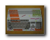 Amiga 500 Leopard Design #1